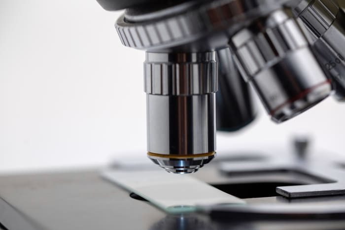 Looking at living things with a microscope is a very interesting activity for many students. It's an ideal activity for a flipped classroom.