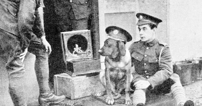 The mascot dog of a regiment at the front listening attentively to a recruitIng appeal on the gramophone.