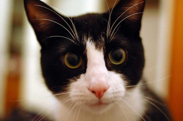 Look into these eyes and tell me you've never peed where you're not supposed to.