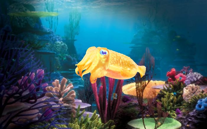 I made this digital painting of a cuttlefish in its typical home. Cuttlefish typically live in shallow reefs near the continental shelf because their cuttlebone will implode from water pressure between 660 to 1970 ft deep, depending on the species