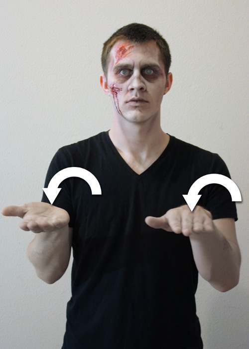 The left hand is held out palm up and the right hand will be palm down, next both hands flip palm orientation.