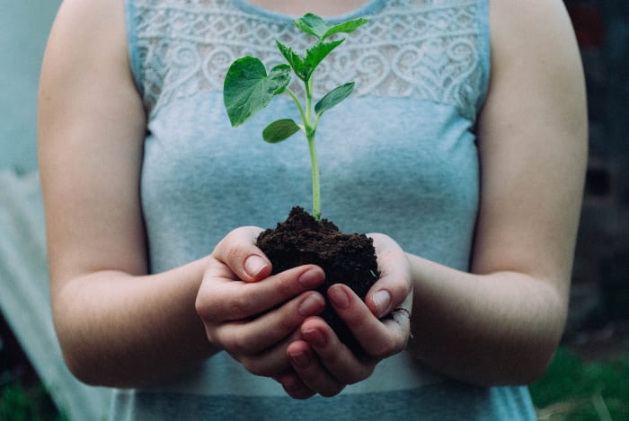 Teachers play a large role in nourishing the young minds that will grow to shape tomorrow's future. Handle with care.