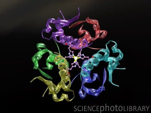 The quaternary structure of the insulin hormone. The inorganic components at the centre are two zinc ions