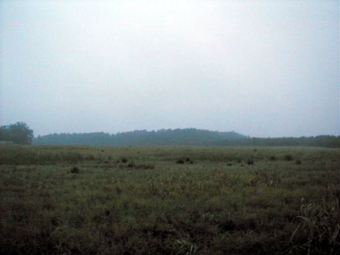 Heavy nimbostratus clouds such as these make for a gloomy day