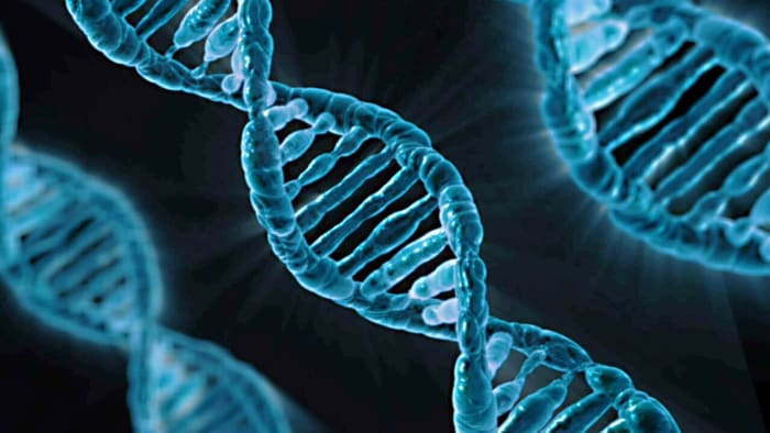 DNA or deoxyribonucleic acid is the molecule of life that all biology students study.