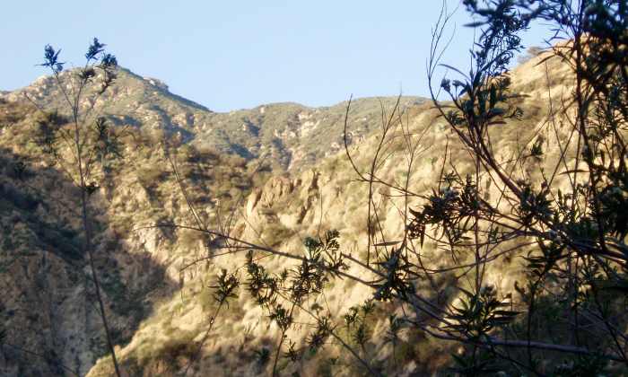 The sun, the mountains, trees, insects buzzing, birds singing. I belong too.