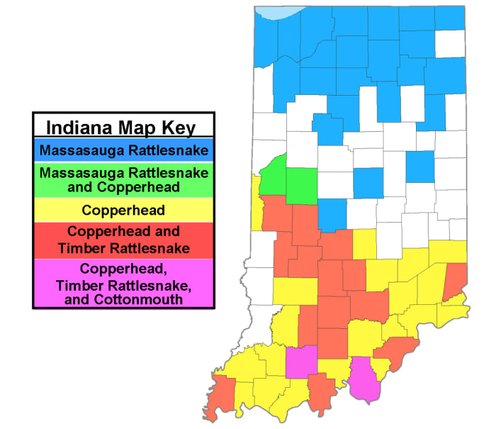 Distribution map of Indiana's front-fanged venomous snakes. Created using information from the Indiana DNR. Map template courtesy of www.nationalatlas.gov