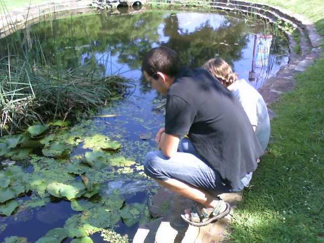 You might want to take a break before going back to look at your peer editing comments. It can also be nice to sometimes do your peer editing out of doors on a nice day.