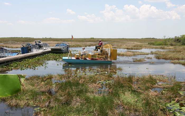 Airboats are a great way to see the birds of the Florida Everglades. These boats give unique access to the River Of Grass.
