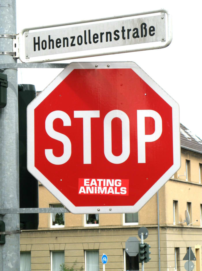 ethical-concerns-raising-livestock-animals-food
