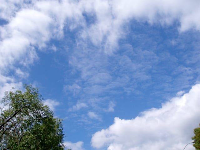 From evapotranspiration to condensation - water vapor condensing into clouds blown about by wind.