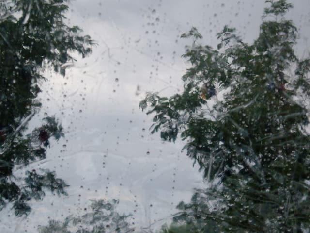 Rain is water in its liquid form, having cooled down from vapor (gas).
