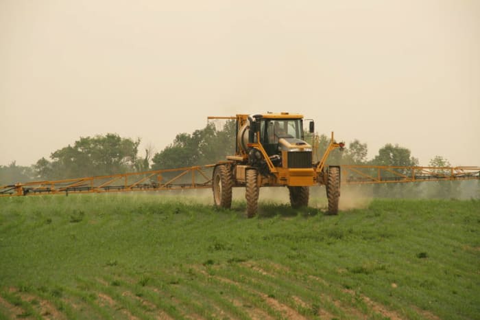 Stripping the land of native vegetation, then using presticides to kill insects, including beneficial bacteria, disturbs the rain cycle.