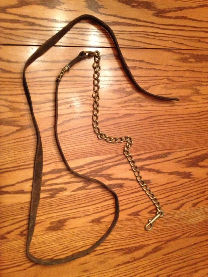 Leather lead rope with a chain. Appropriate for horse shows because it looks professional and, used properly, the chain can provide the handler with extra control over the horse.