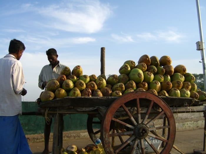 having a refreshing coconut water is as easy as buying a coconut fresh from a local seller and sticking a straw in it.