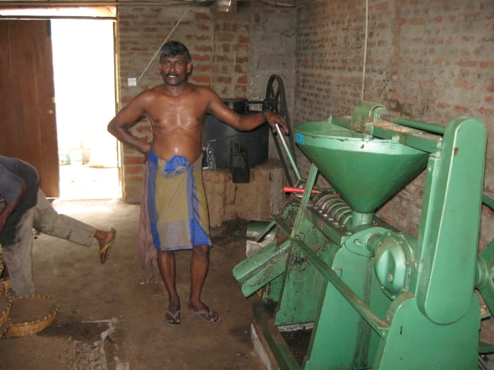 the last piece of machinery in the extraction process. The dried copra at the end is used as cattle fodder.