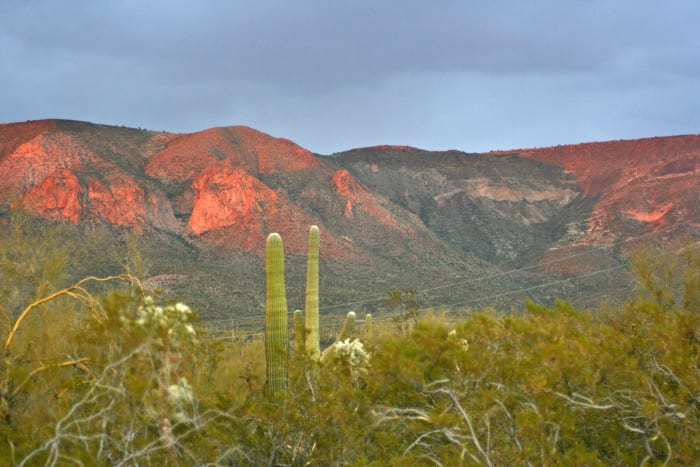 The view from my backyard: home to a roadrunner, here and there, and a lot of rattlesnakes.