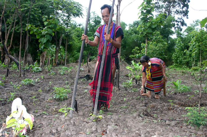 In contrast, farmers like these often have to work from dawn to dusk for food often lacking in essential nutrients.