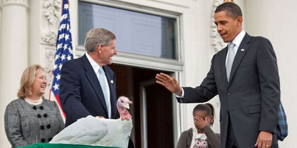 President Obama pardons a turkey, granting him a life of leisure on the farm and the promise to never end up on the dinner table!