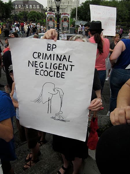 Protest following the Deepwater Horizon oil spill. Photo by information, courtesy of Wikimedia Commons.