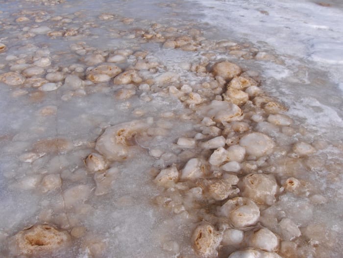 Ice balls suspended on Lake Michigan shoreline (the initial process in the formation of the Ice Shelf)