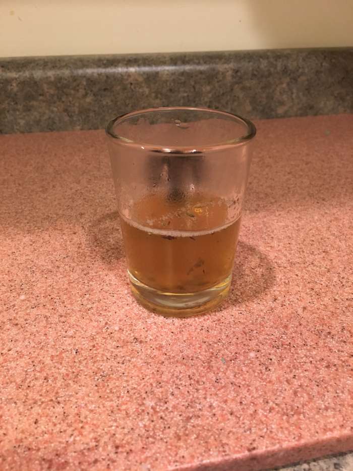 I also kept a very small dram for myself just before pitching the yeast and starting primary fermentation -- even this was good! Note the bits of heather and mugwort floating around. Author's archives.