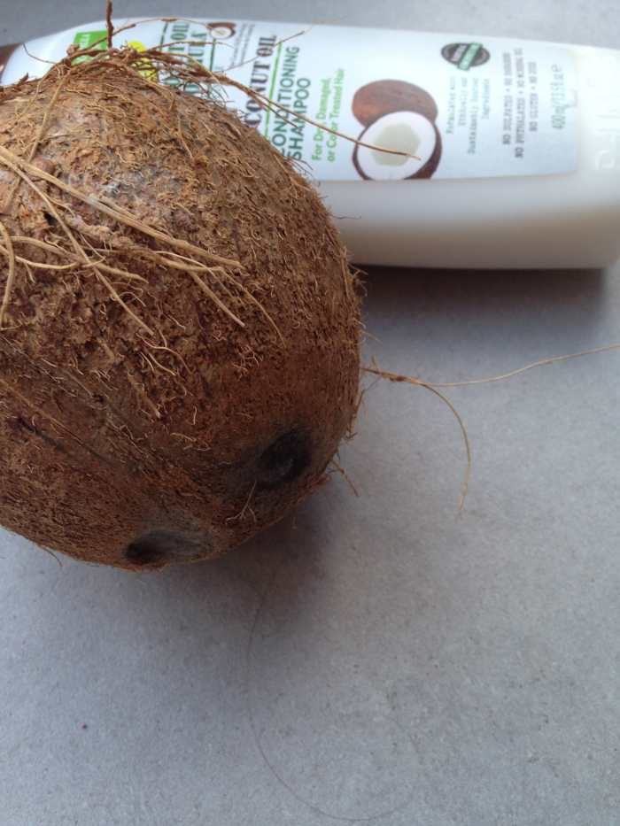 Why Is My Scalp Dry and Flaky? YouMeMindBody Health & Wellness