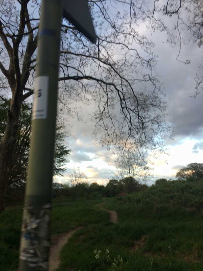 Derealization and Depersonalization How to Permanently Recover From