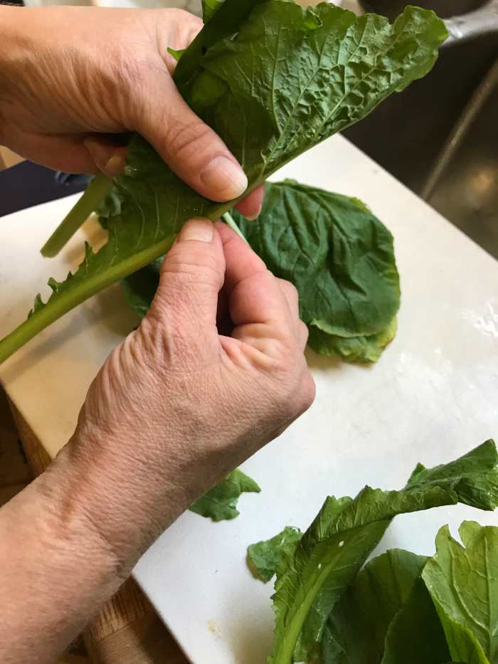 Fold the greens in half with the rib to the outside, then grasp the rib and pull back. This removes the majority of the stringiest woodiest part of the leaf. Then stack the leaves about 5-6 deep.