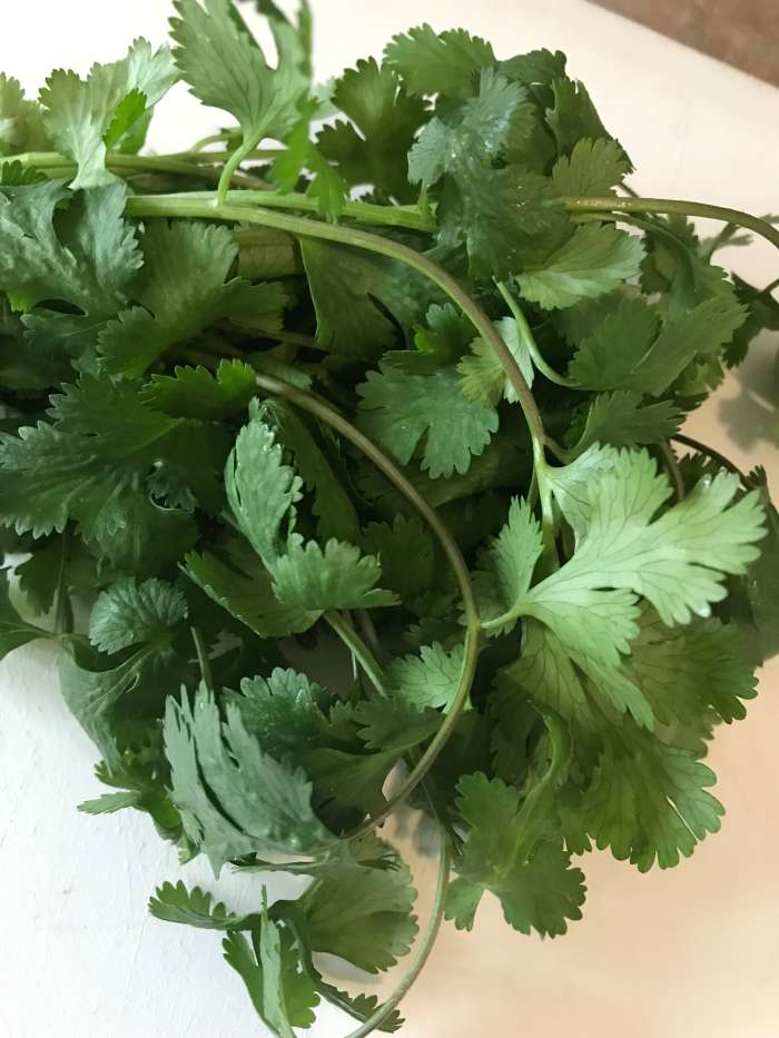 I love fresh cilantro, but many folks don't. To them it tastes like soap - which isn't a nice thing at all. Just swap out fresh Italian parsley for the cilantro and you'll still have the fresh green flavor without unpleasant soapiness.
