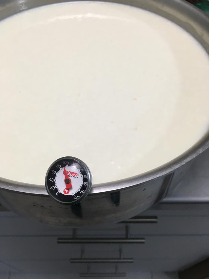 After mixing in the diluted citric acid, heat pasteurized milk to 90 degrees Fahrenheit. If using raw milk, heat to only 88 degrees Fahrenheit.