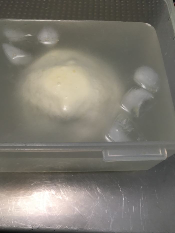 Chill fresh mozzarella in cold water (15 minutes) then ice water (1.5 hours). Drain off water and store the cheese in the refrigerator in a tupperware or plastic bag.