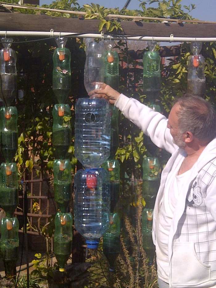 Louis Fourie in the garden June 2013 holding up the strawberry farm. The bottles in the background are from the previous hanging garden.