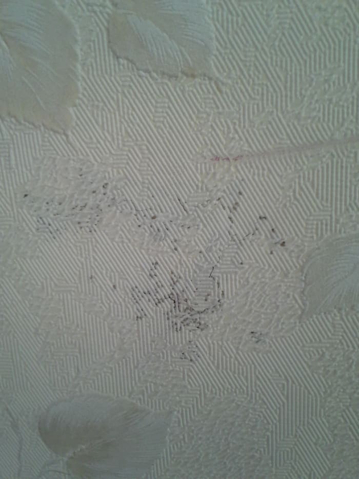 The former homeowners of this foreclosed house may not have recognized these dark spots as signs of termites behind their wallpaper.