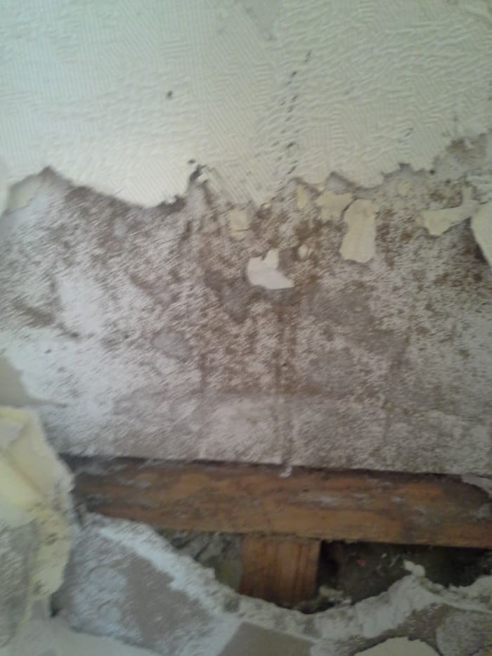 Near the spotted area, the damage was worse, but still didn't look like mud tubes or wood rot.