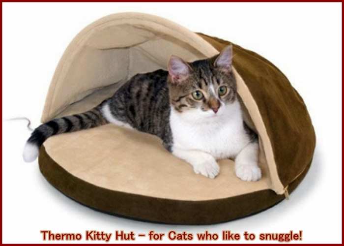 Heated Cat Beds (Indoor, Outdoor, and Alternatives