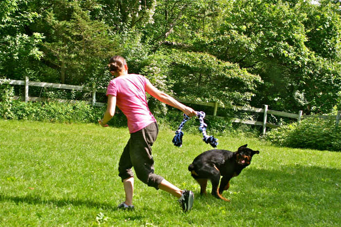 Raising a dog requires work on your part. It is your responsibility. Use a crate as a tool, not a crutch.