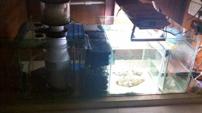 The sump custom-built for this setup was 40 in x 18 in x 15 in (L x W x H).