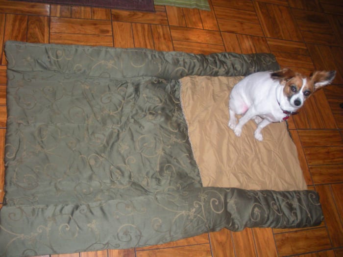 dog bed no stuffing