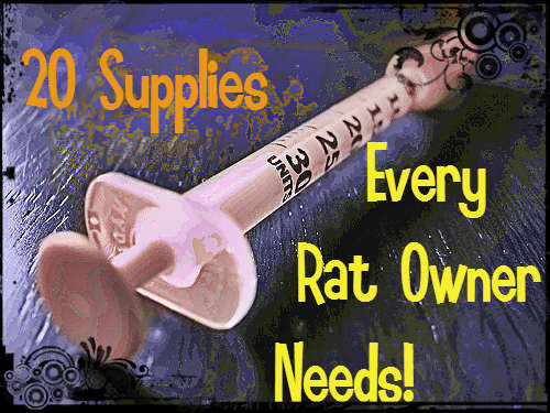 All of these supplies are very important for new and seasoned rat owners. Syringes, for example, can be used to nurse orphaned and abandoned rat kits.