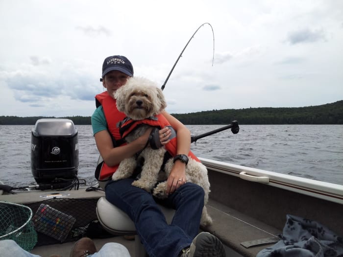 Havanese dogs make faithful and loving companions. Above is myself and Rufus enjoying a day out on the water in Algonquin Provincial Park.