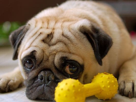 Are you SURE I have to go?