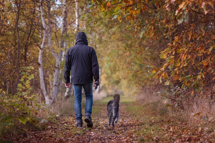 Avoid lonely areas. Isolation may be good for the soul but if you run into trouble, a walk can turn dangerous.