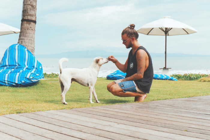 If the way your dog holds herself or walks has suddenly changed, it could be a sign that the way she usually stands, sits or walks is starting to hurt.