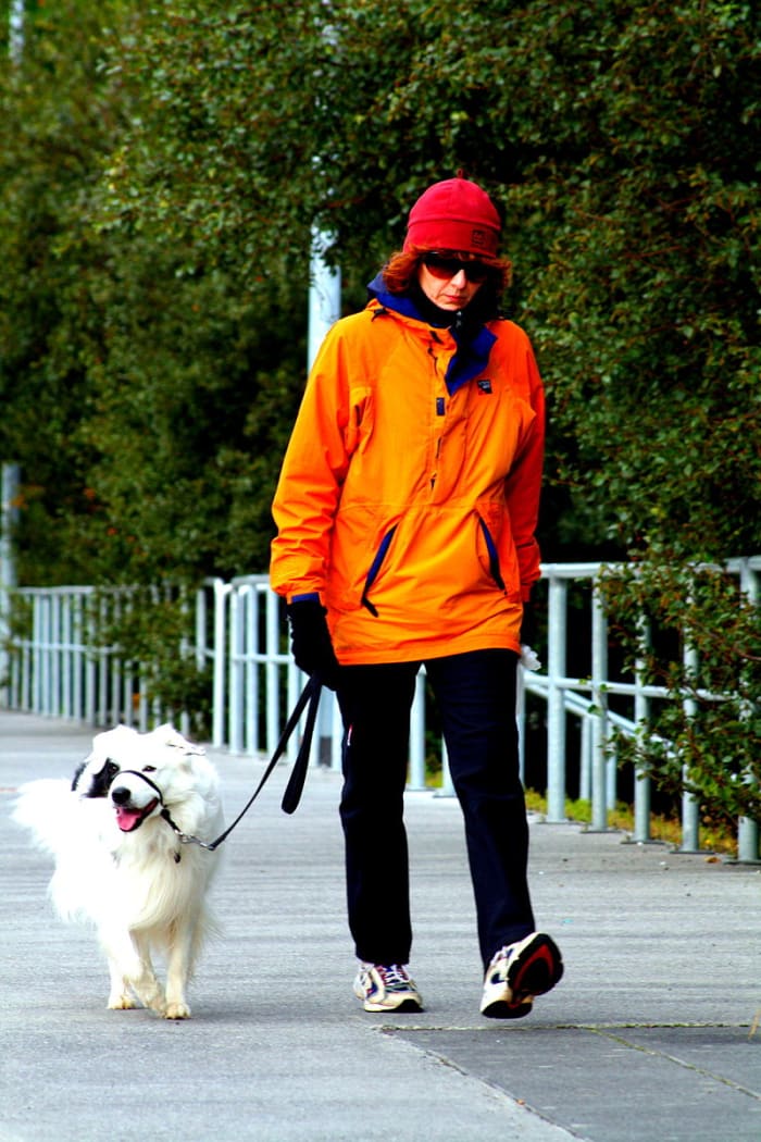 Choosing the right collar and leash for you and your dog helps make exercise and training easier for both of you