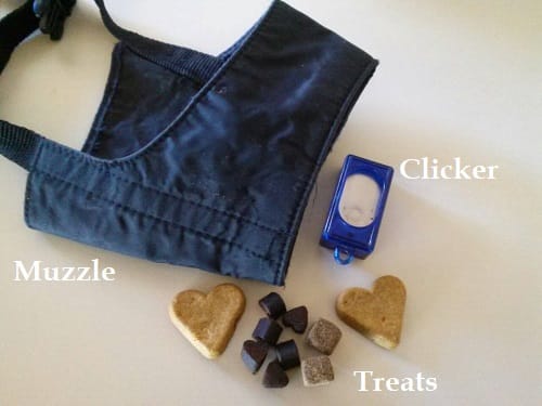 Items needed to train your dog to wear a muzzle.