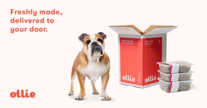 Ollie Healthy Turkey Feast Human-Grade Dog Food