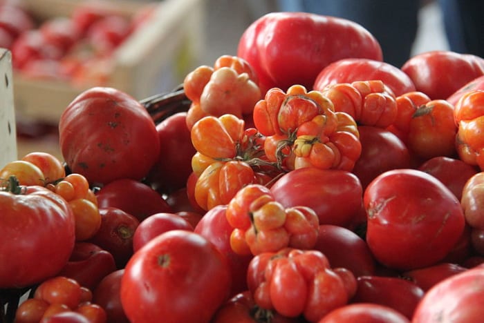 Do not feed your dogs tomato juice!