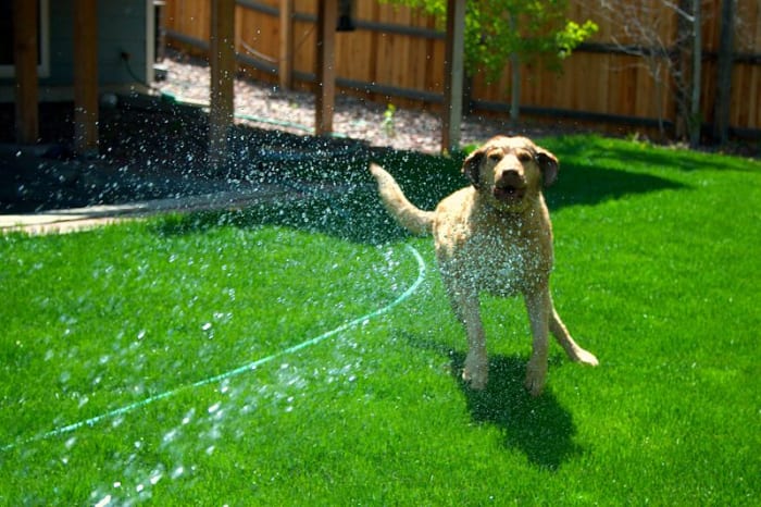 You can neutralize the problem—literally.