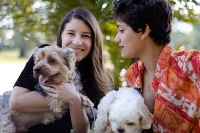 As soon as the puppy has been vaccinated and you have the green light from the vet to begin the training process, you can start taking them out with you.